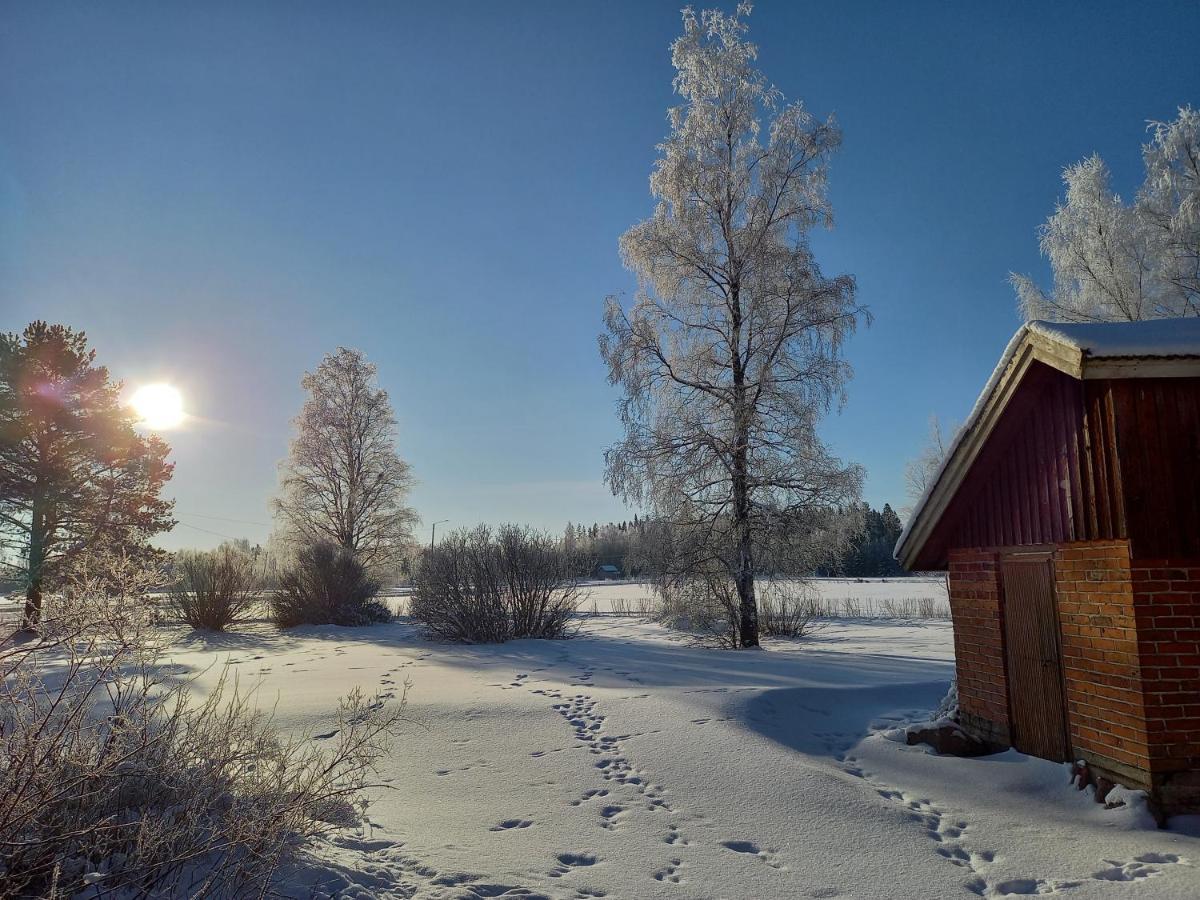 Opintola Bed & Breakfast Norinkylä Dış mekan fotoğraf