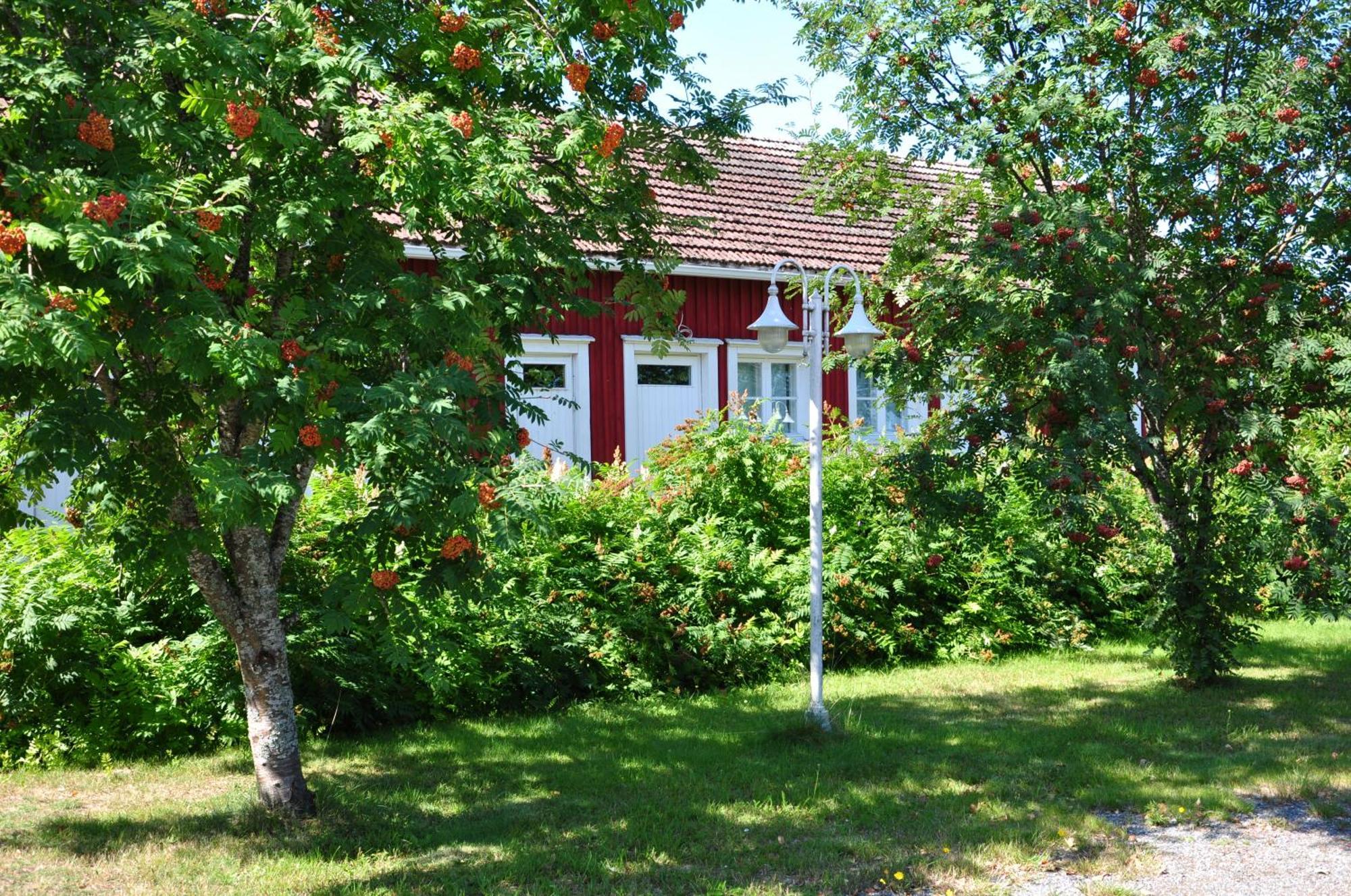 Opintola Bed & Breakfast Norinkylä Dış mekan fotoğraf