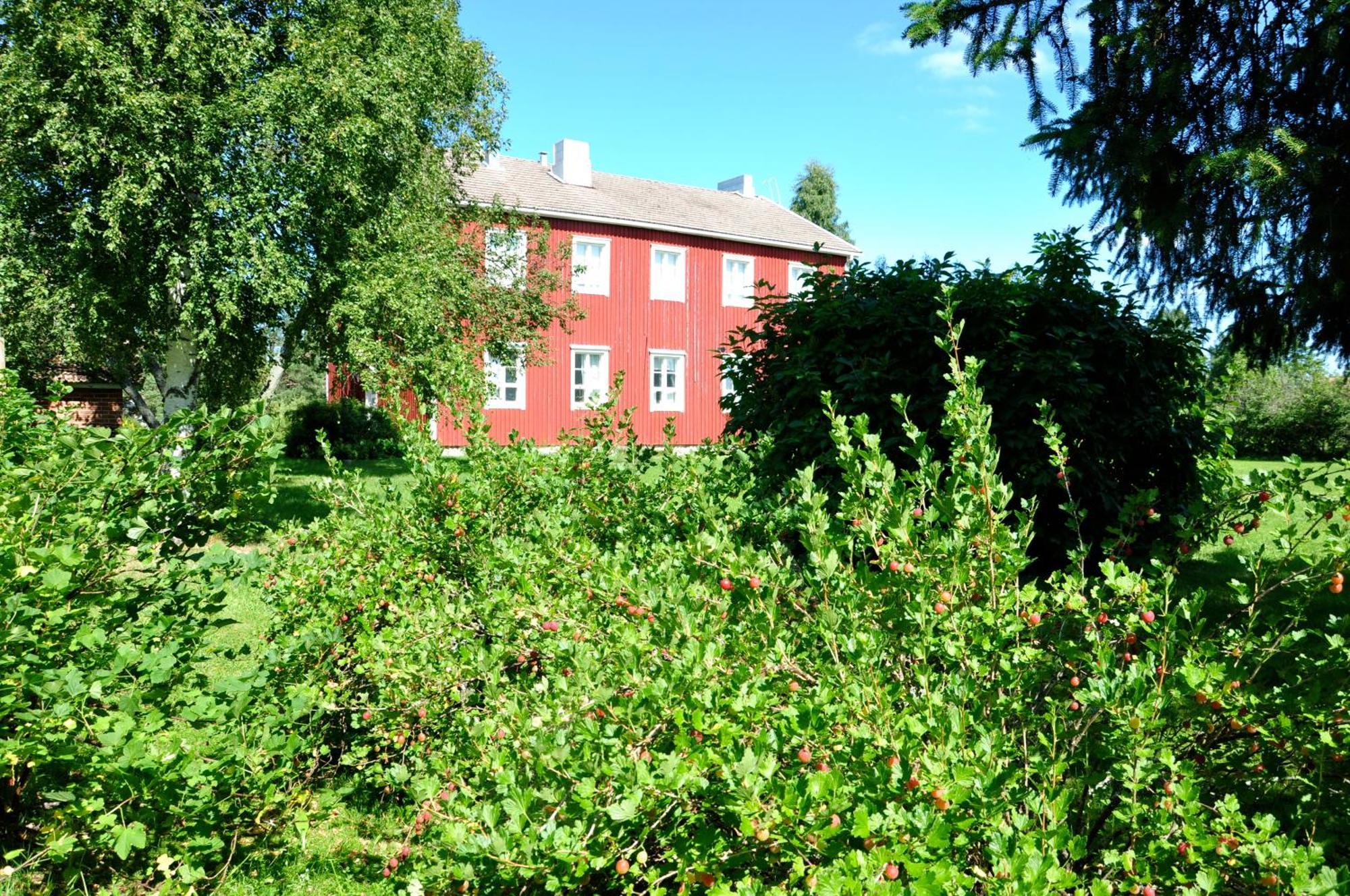 Opintola Bed & Breakfast Norinkylä Dış mekan fotoğraf